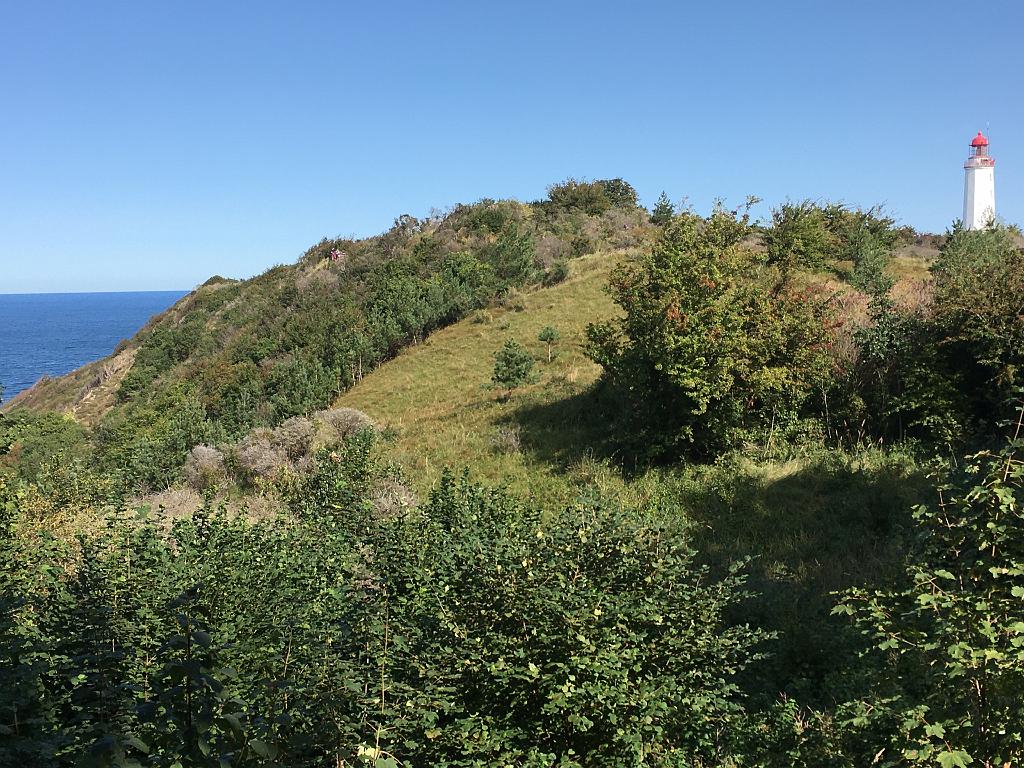 Ruegen (239)